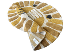 Leeuw Kinderkleed Rond (Ø 110 cm)
